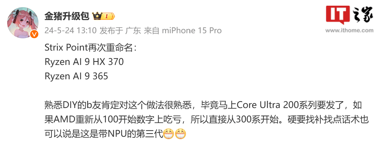 消息称 AMD 再度调整 Strix Point 处理器命名，有望改为 Ryzen AI 3XX 系列
