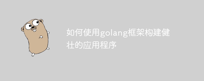 如何使用golang框架构建健壮的应用程序