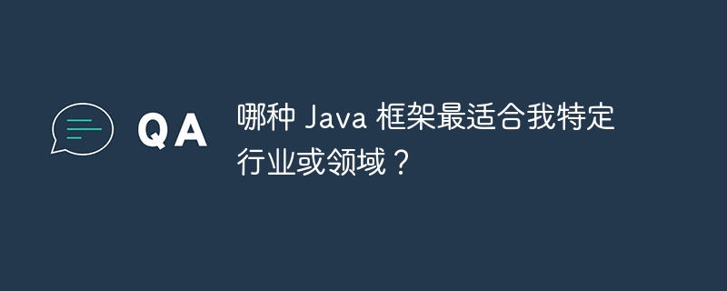 哪种 Java 框架最适合我特定行业或领域？