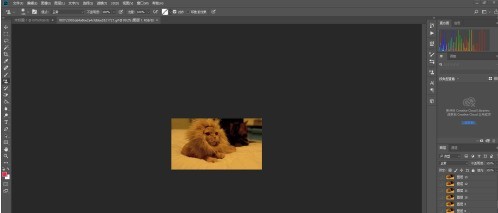 photoshop cc 2018怎么缩放图层 photoshop cc 2018缩放图层的方法