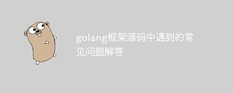 golang框架源码中遇到的常见问题解答