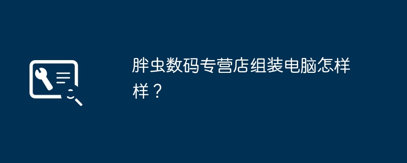 胖虫数码专营店组装电脑怎样样？