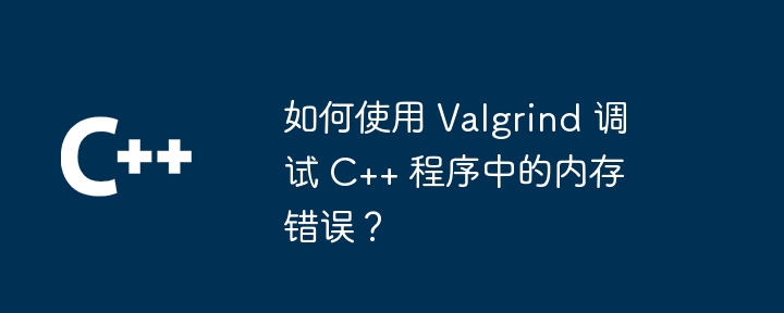 如何使用 Valgrind 调试 C++ 程序中的内存错误？
