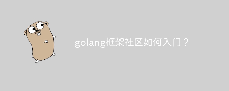 golang框架社区如何入门？