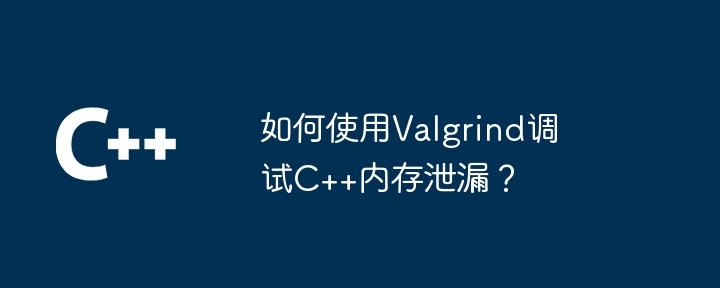 如何使用valgrind调试c++内存泄漏？