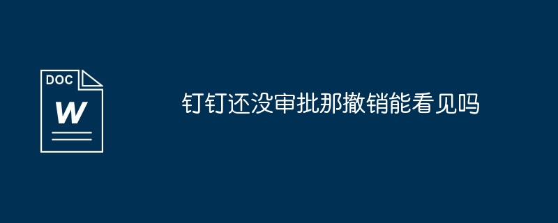 钉钉还没审批那撤销能看见吗