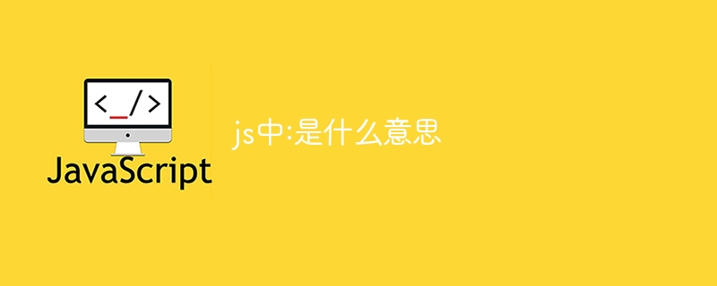 js中:是什么意思