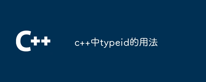 c++中typeid的用法