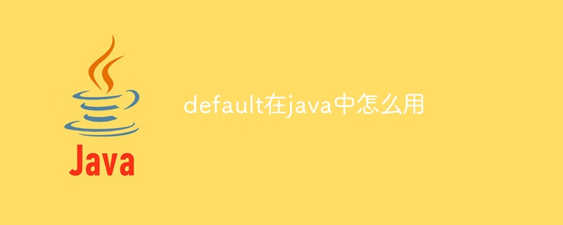 default在java中怎么用