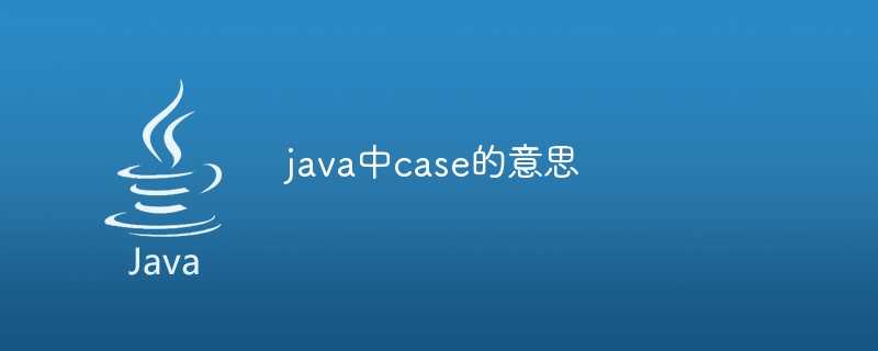 java中case的意思