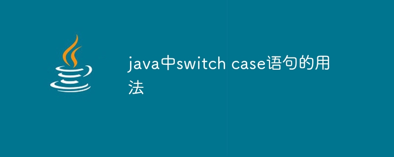 java中switch case语句的用法