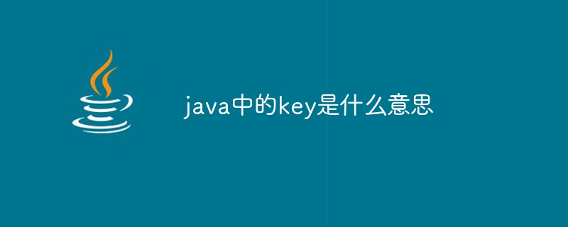 java中的key是什么意思