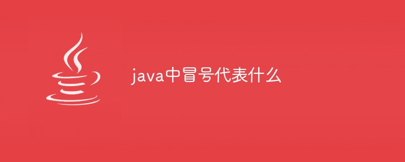 java中冒号代表什么