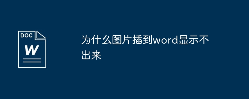 为什么图片插到word显示不出来