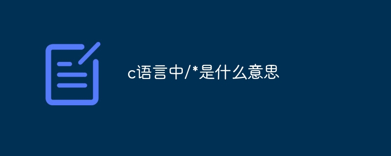 c语言中/*是什么意思