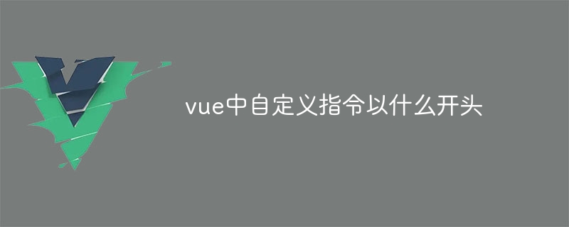 vue中自定义指令以什么开头