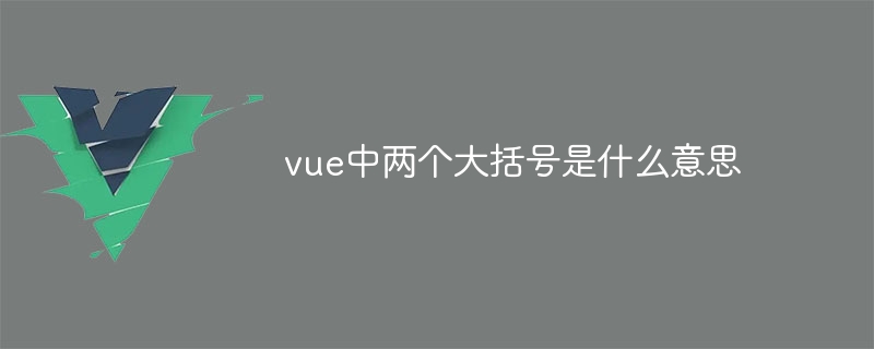 vue中两个大括号是什么意思