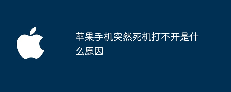 苹果手机突然死机打不开是什么原因