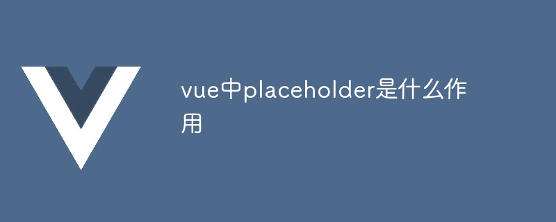 vue中placeholder是什么作用