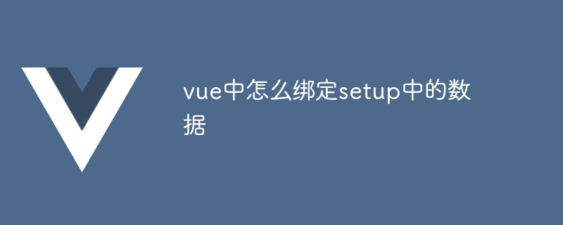 vue中怎么绑定setup中的数据