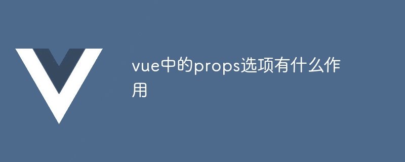 vue中的props选项有什么作用