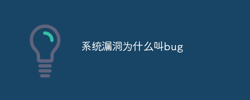 系统漏洞为什么叫bug