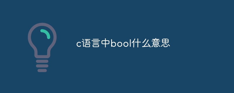 c语言中bool什么意思