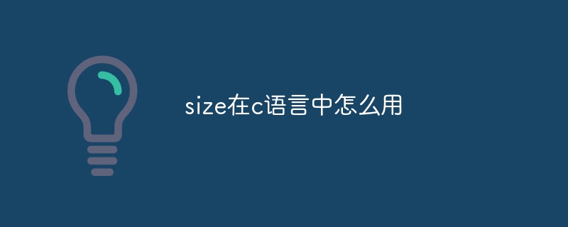 size在c语言中怎么用