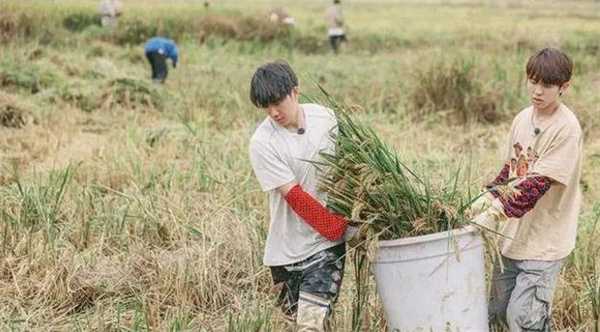 新周刊评年轻人辞职去种地