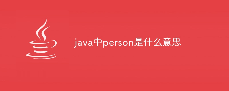 java中person是什么意思