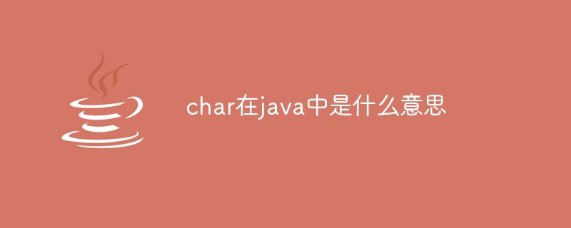 char在java中是什么意思