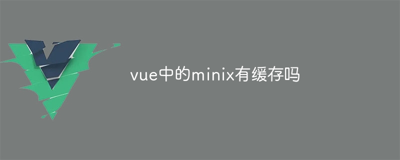 vue中的minix有缓存吗