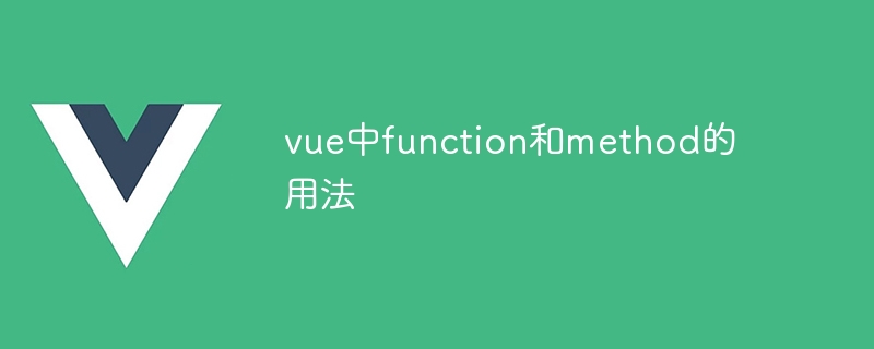 vue中function和method的用法