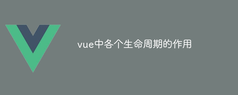 vue中各个生命周期的作用