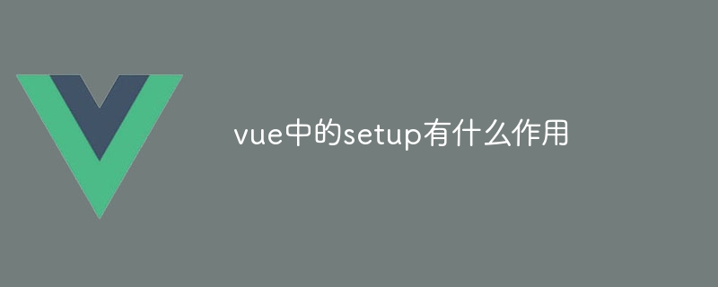 vue中的setup有什么作用