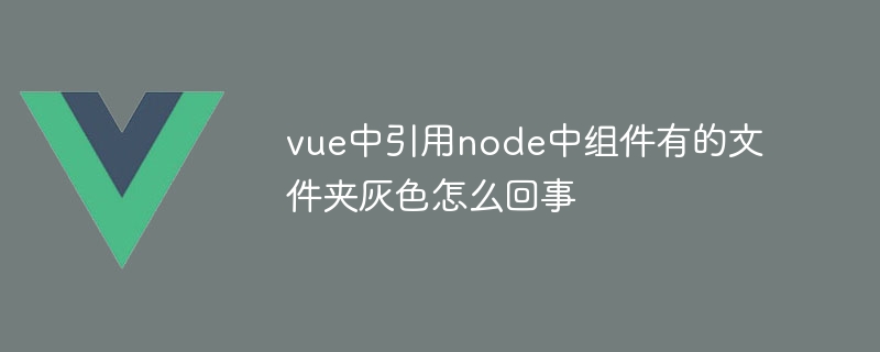 vue中引用node中组件有的文件夹灰色怎么回事