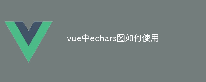 vue中echars图如何使用