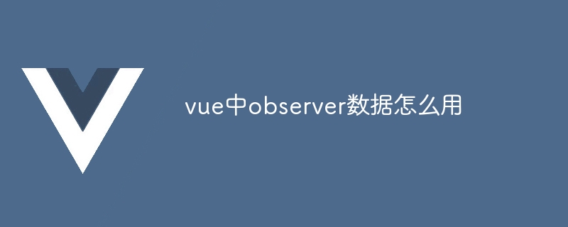 vue中observer数据怎么用