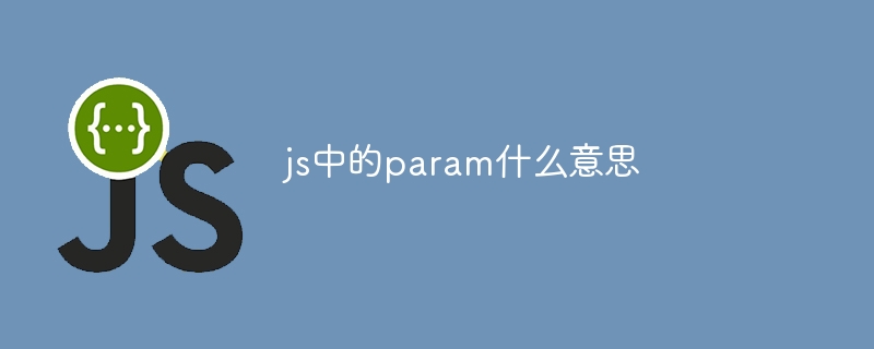 js中的param什么意思