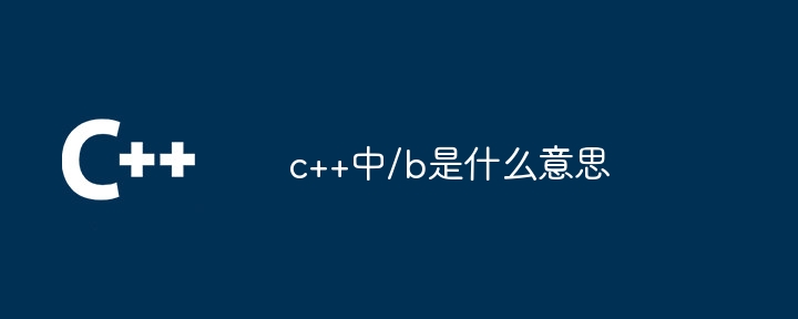 c++中/b是什么意思