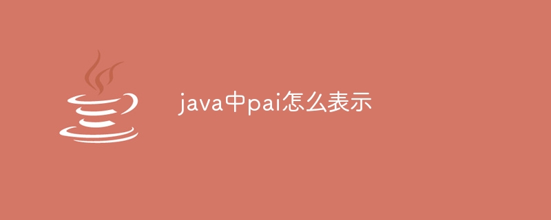 java中pai怎么表示