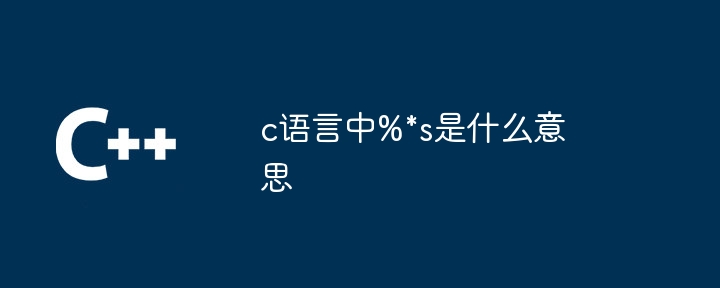 c语言中%*s是什么意思