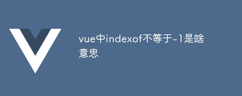 vue中indexof不等于-1是啥意思