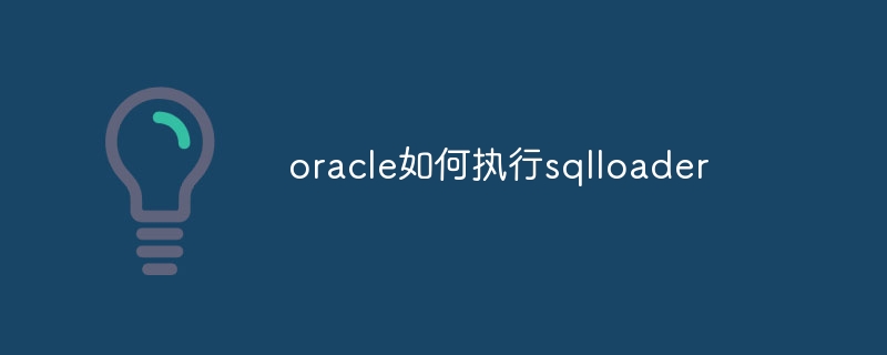 oracle如何执行sqlloader