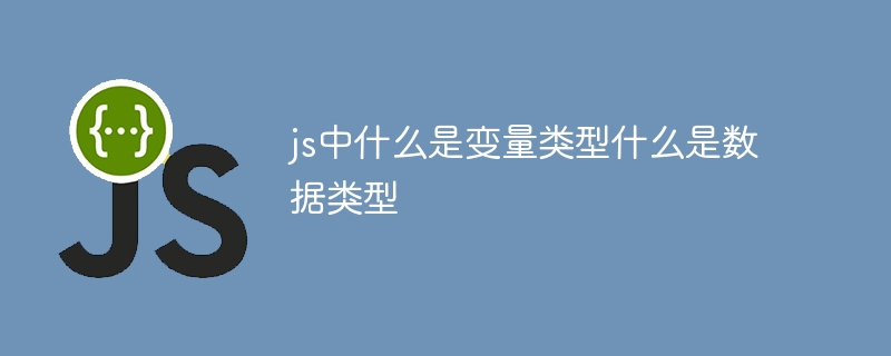 js中什么是变量类型什么是数据类型