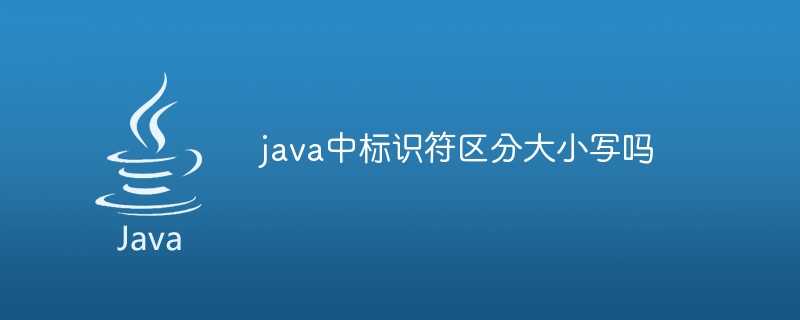 java中标识符区分大小写吗