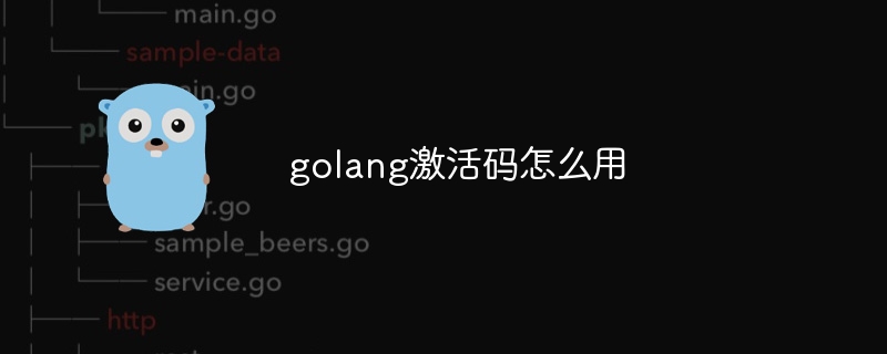 golang激活码怎么用