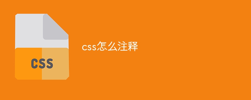 css怎么注释