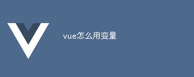 vue怎么用变量