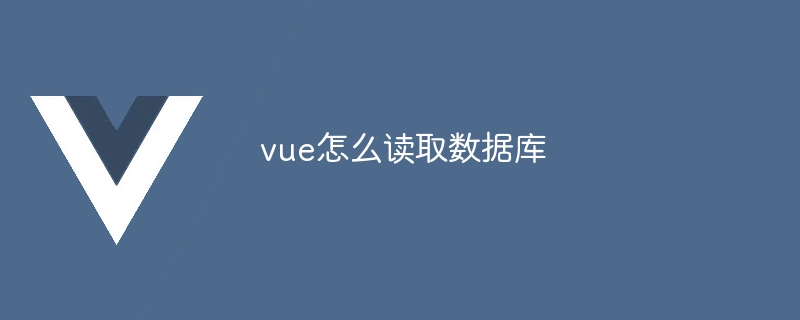 vue怎么读取数据库